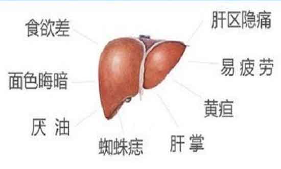 郑州肝病哪家医院看好